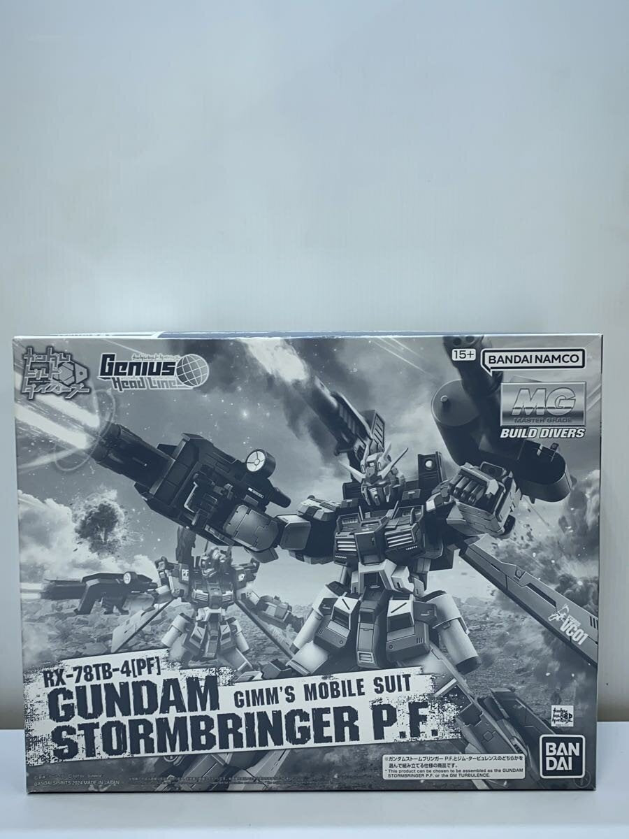 BANDAI SPIRITS MG 1/100 Gundam Stormbringer