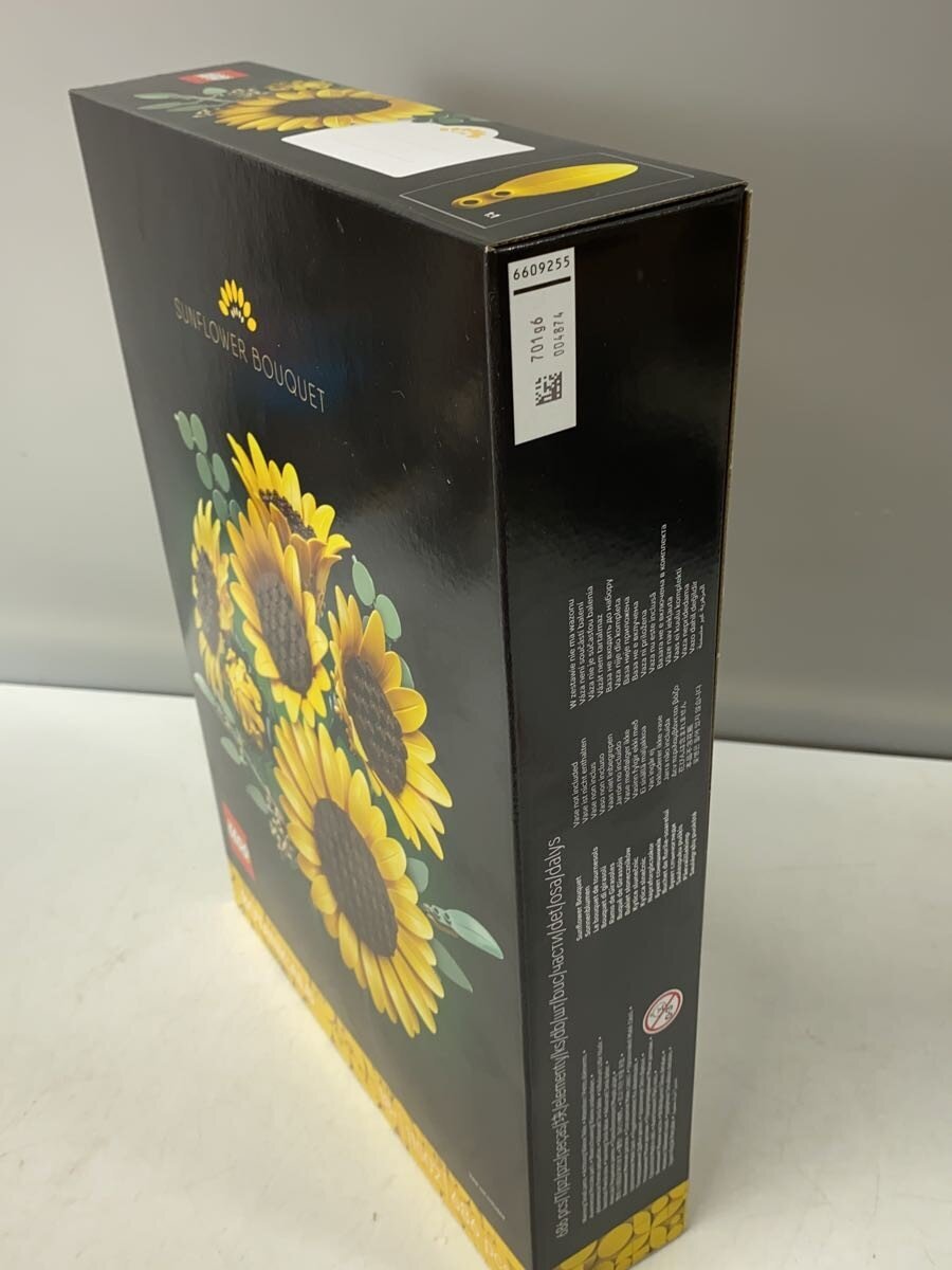 LEGO Hobby Other 6588541