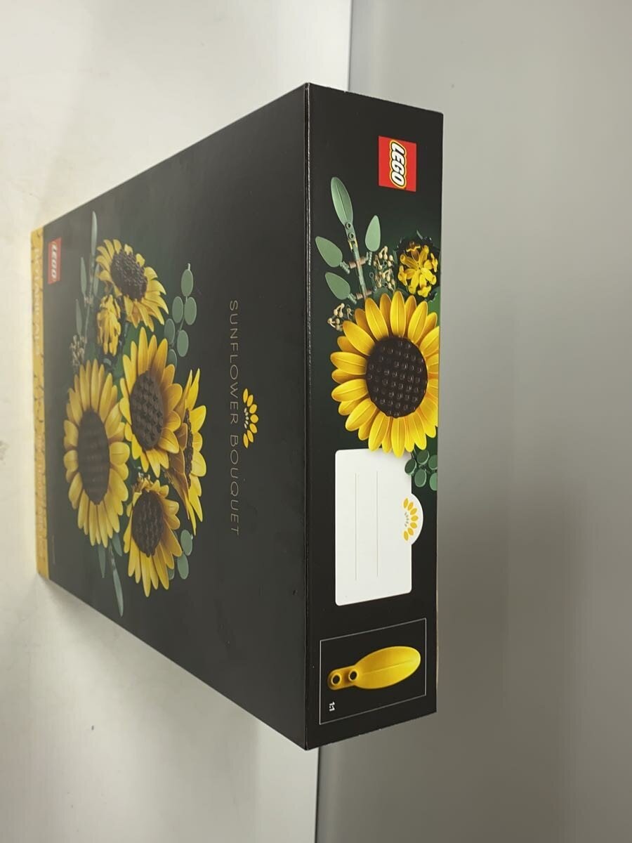 LEGO Hobby Other 6588541