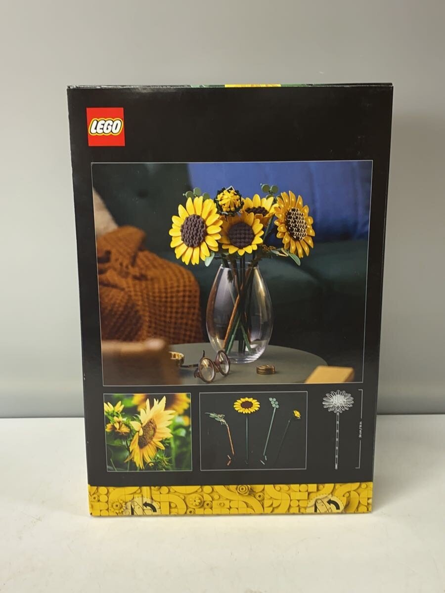 LEGO Hobby Other 6588541