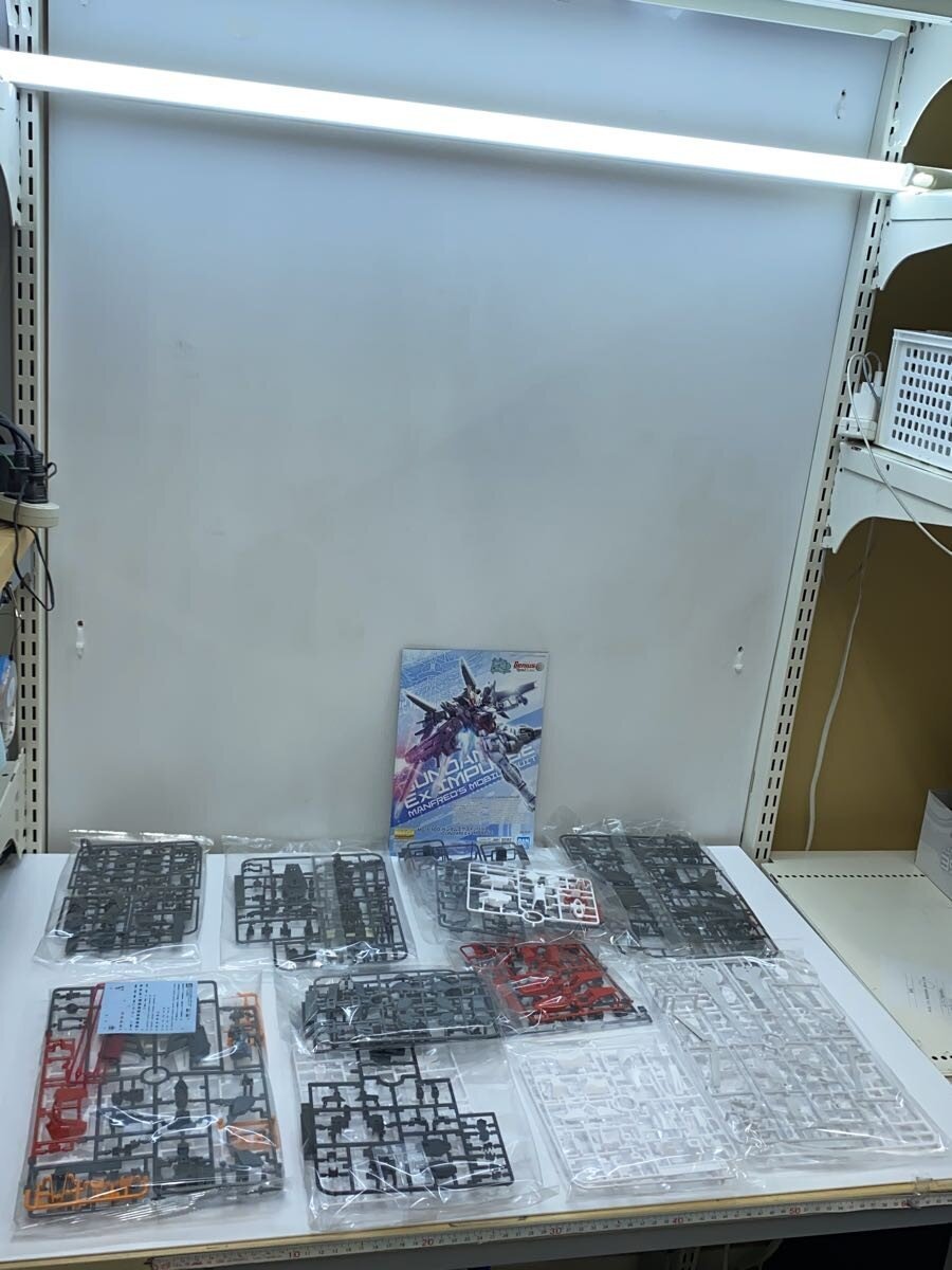 BANDAI SPIRITS MG 1/100 Gundam Ex Impulse