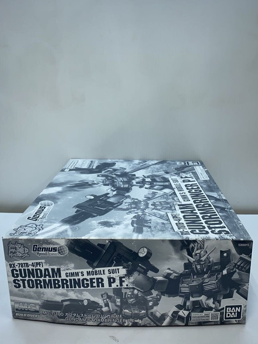 BANDAI SPIRITS MG 1/100 Gundam Stormbringer