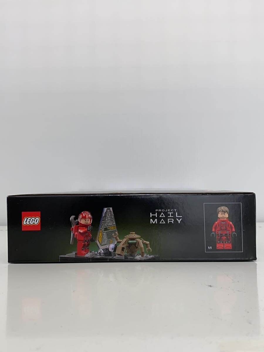 LEGO 11389 Icons Project Hail Mary
