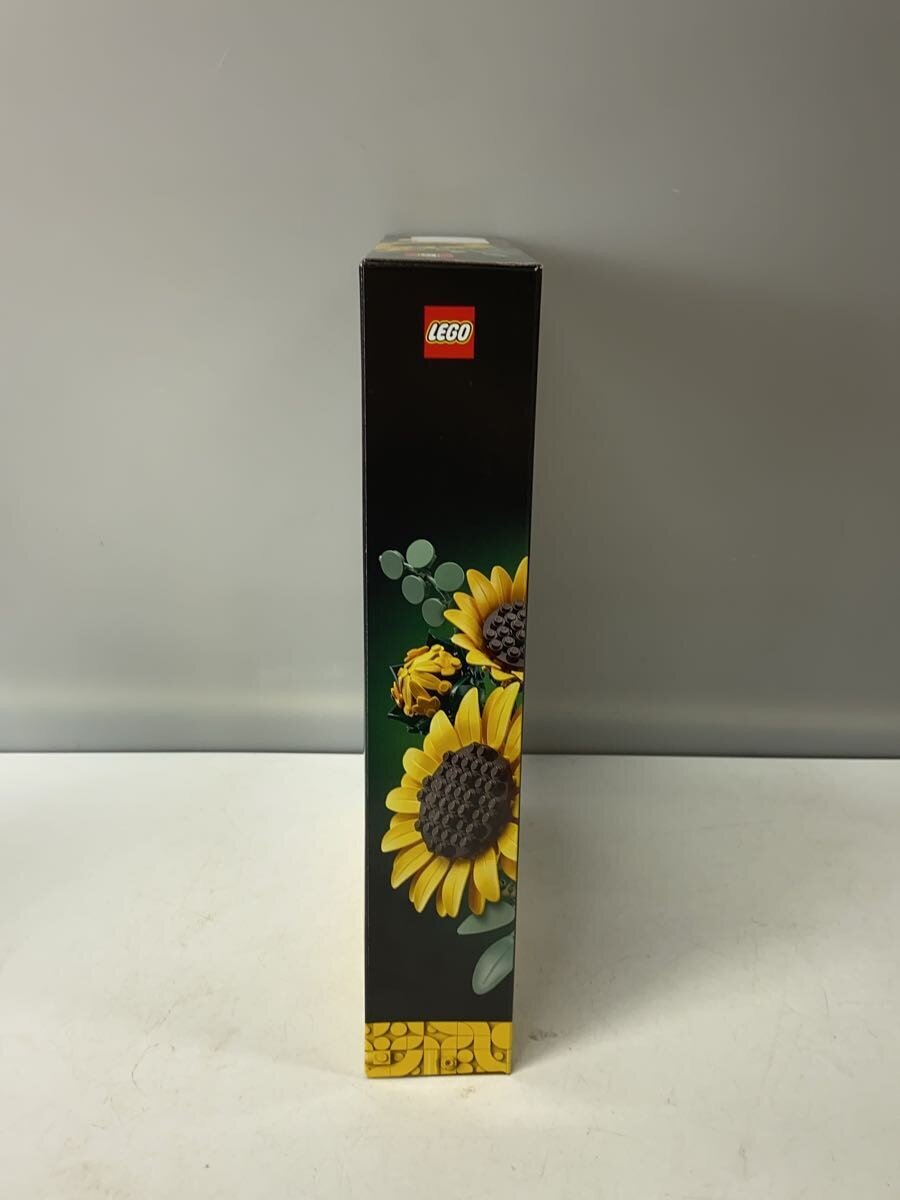 LEGO Hobby Other 6588541