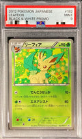 Pokemon TCG Leafeon P 182/BW-P PSA 9