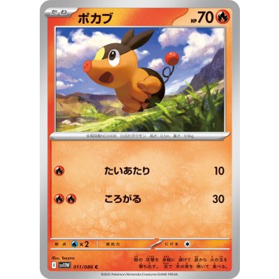 Pokemon TCG Tepig [C] {011/086}