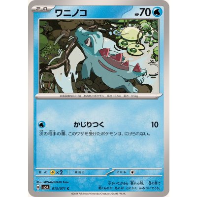Pokemon TCG Totodile [C] {013/071}