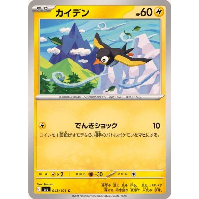 Pokemon TCG Kaiden [C] {043/101}