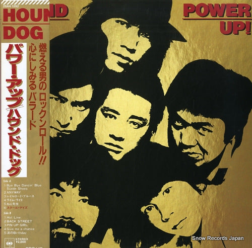 Vintage Record HOUND DOG - power up - 28AH1392