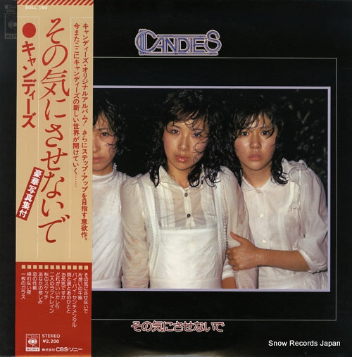 Vintage Record CANDIES - sonoki ni sasenaide - SOLL160