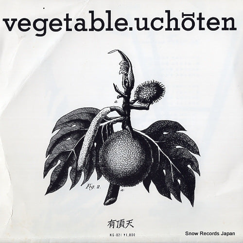 Vintage Record UCHOTEN - vegetable - NG-021