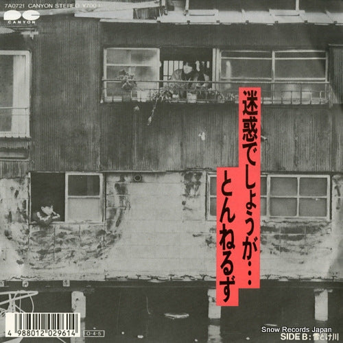Vintage Record TUNNELS - meiwakudeshouga - 7A0721