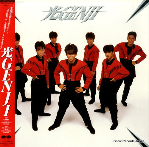 Vintage Record HIKARU GENJI - hikaru genji - C28A0617