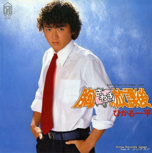 Vintage Record HIKARU, IPPEI - munasawagi no hokago - 7K-55
