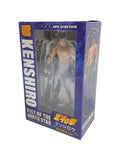 Misc. Brand Kenshiro (Musou Tensei Ver.) Action Figure