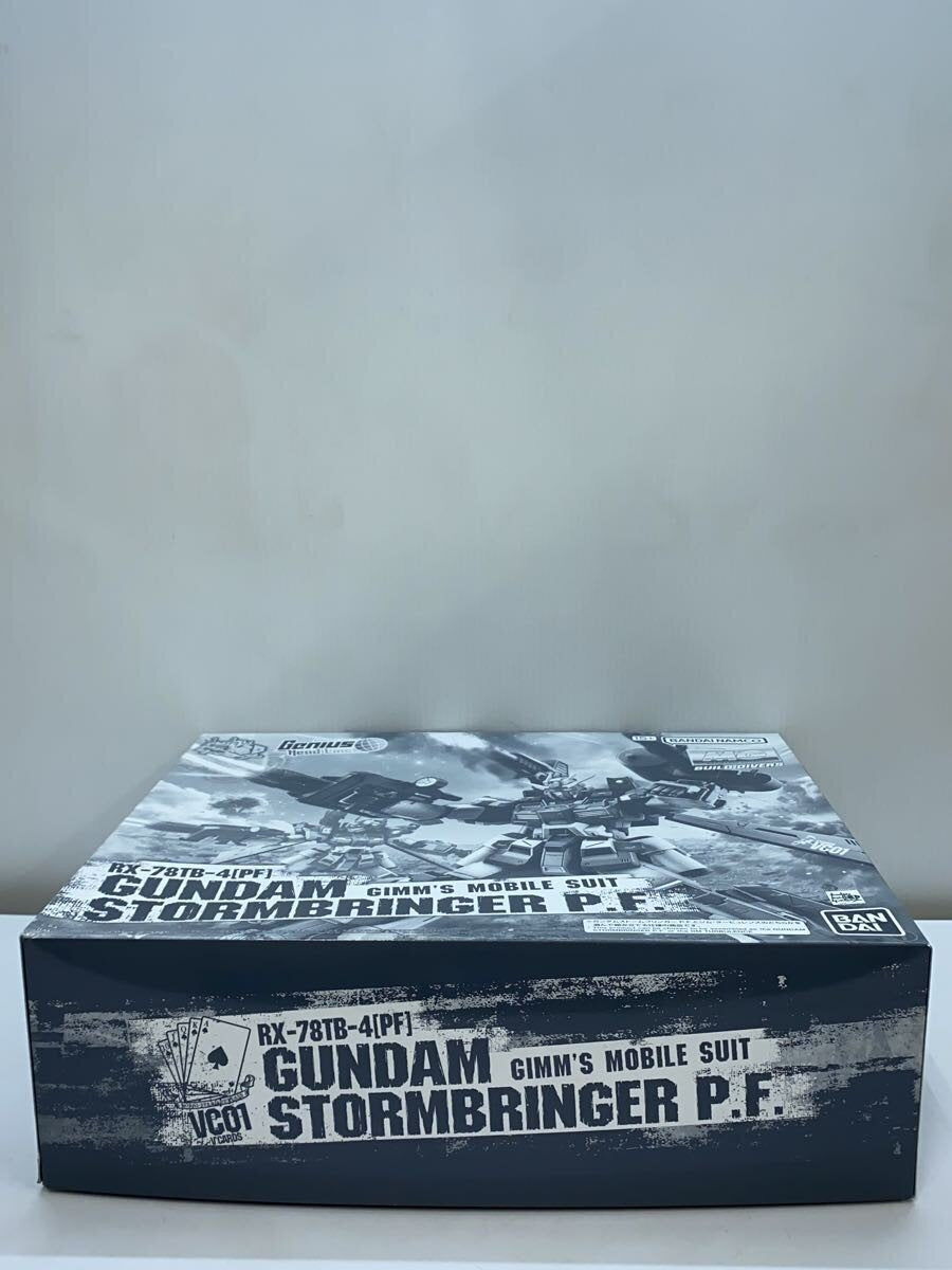 BANDAI SPIRITS MG 1/100 Gundam Stormbringer