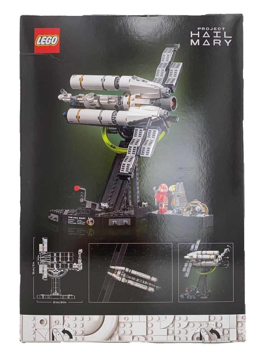 LEGO 11389 Icons Project Hail Mary
