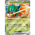 Pokemon TCG Decidueye ex【RR】{012/080}